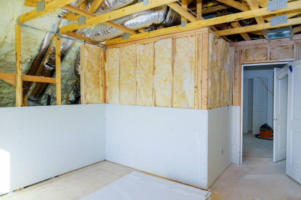 Best Insulation Removal  in Springville, AL