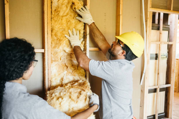 Best Soundproof Insulation  in Springville, AL